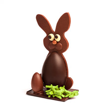 Charger l'image dans la galerie, LAPIN PÉTARDS À DENTS LAIT ÉQUATEUR 42%